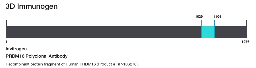 PRDM16 Polyclonal Antibody