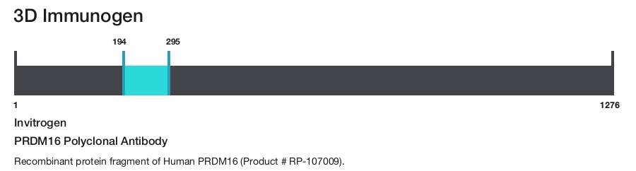 PRDM16 Polyclonal Antibody