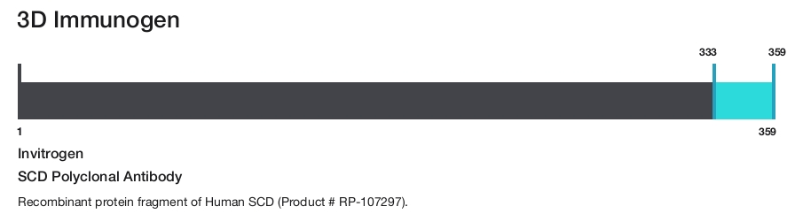SCD Polyclonal Antibody