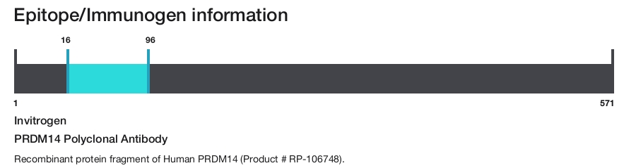 PRDM14 Polyclonal Antibody