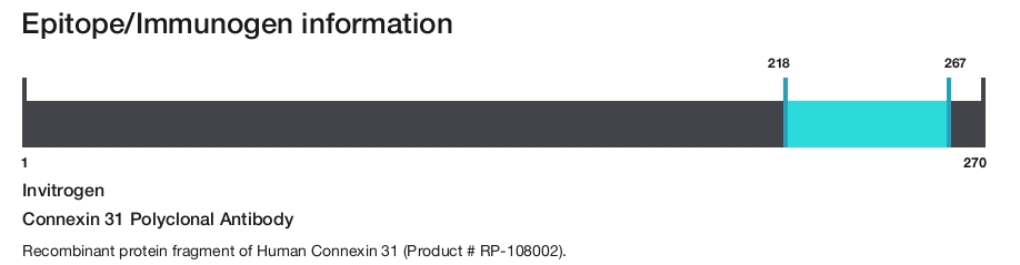 Connexin 31 Polyclonal Antibody