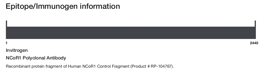 NCoR1 Polyclonal Antibody