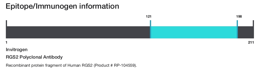 RGS2 Polyclonal Antibody