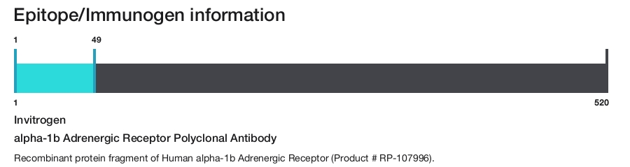 alpha-1b Adrenergic Receptor Polyclonal Antibody