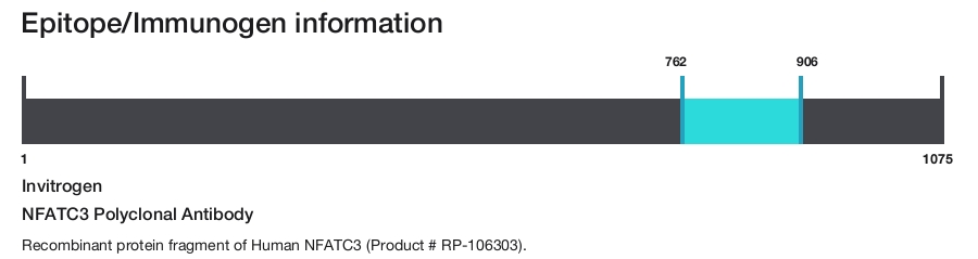 NFATC3 Polyclonal Antibody