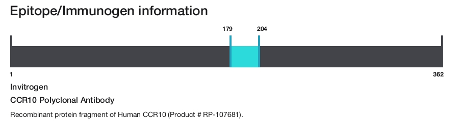 CCR10 Polyclonal Antibody