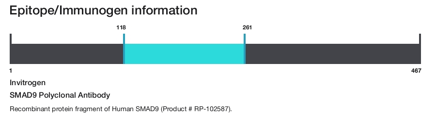 SMAD9 Polyclonal Antibody