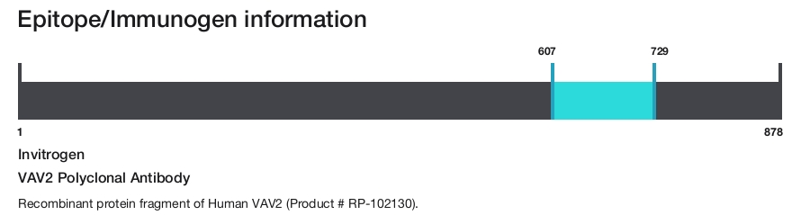 VAV2 Polyclonal Antibody