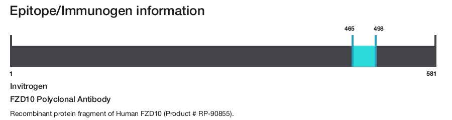 FZD10 Polyclonal Antibody