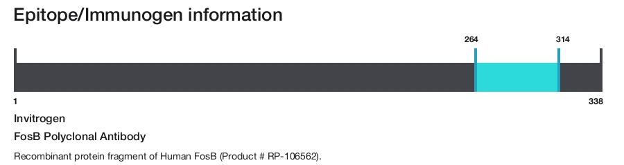 FosB Polyclonal Antibody