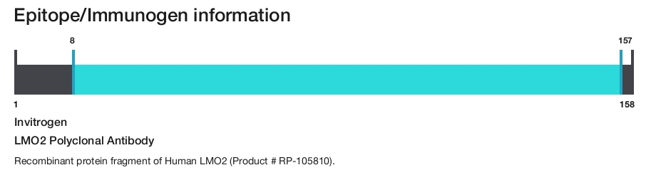 LMO2 Polyclonal Antibody