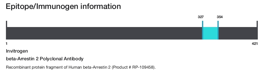 beta-Arrestin 2 Polyclonal Antibody