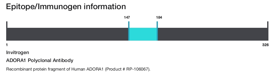 ADORA1 Polyclonal Antibody