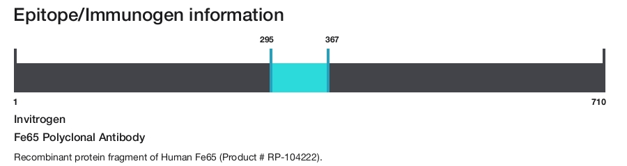 Fe65 Polyclonal Antibody