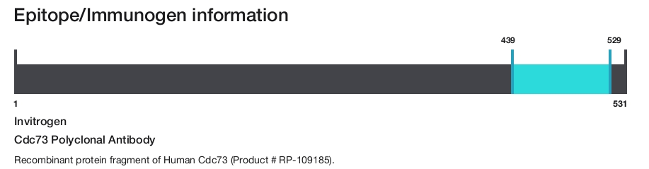 Cdc73 Polyclonal Antibody