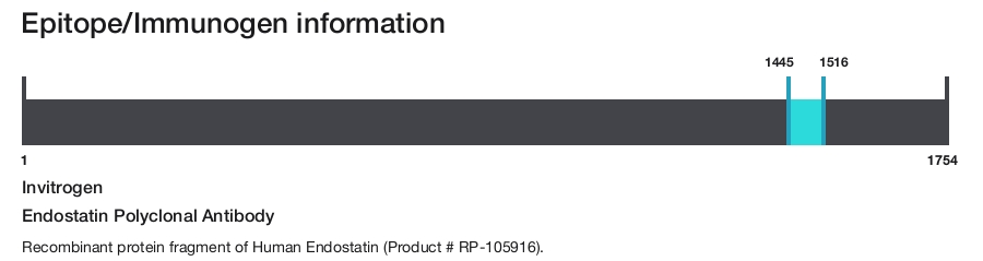 Endostatin Polyclonal Antibody