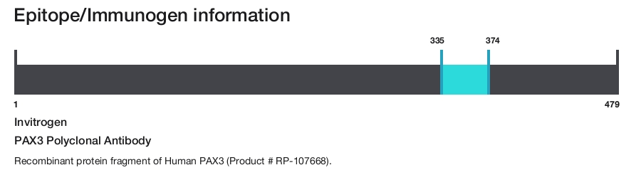 PAX3 Polyclonal Antibody