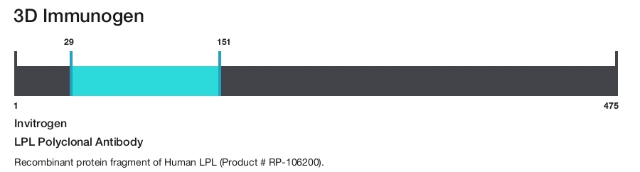 LPL Polyclonal Antibody