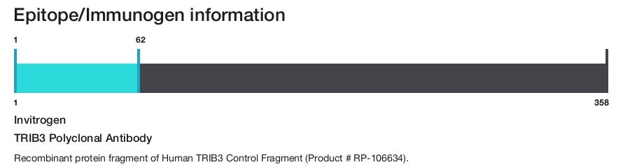 TRIB3 Polyclonal Antibody