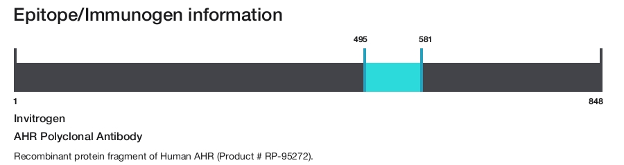 AHR Polyclonal Antibody
