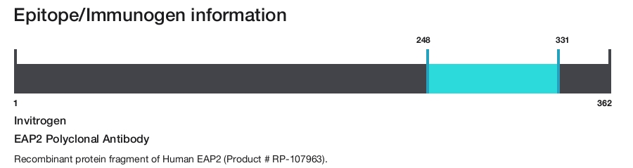 EAP2 Polyclonal Antibody