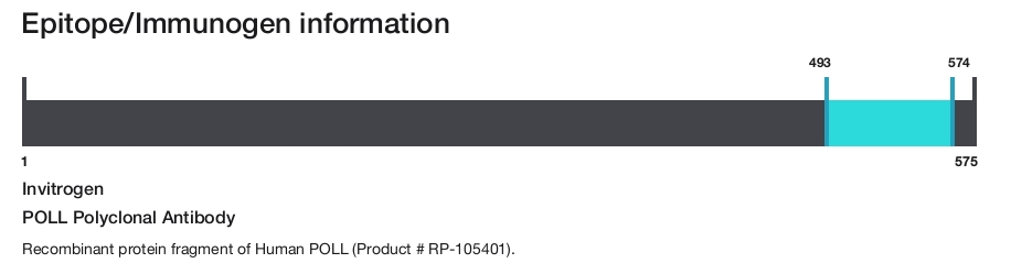POLL Polyclonal Antibody
