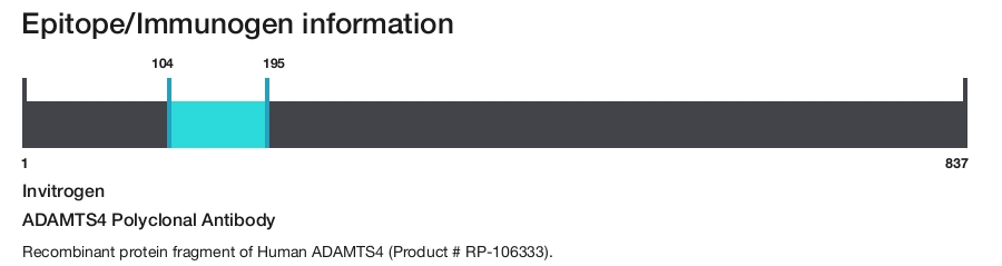 ADAMTS4 Polyclonal Antibody