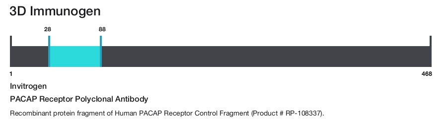 PACAP Receptor Polyclonal Antibody