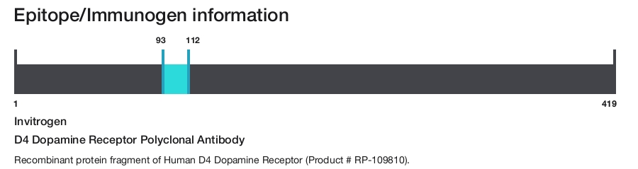D4 Dopamine Receptor Polyclonal Antibody