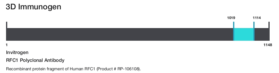 RFC1 Polyclonal Antibody