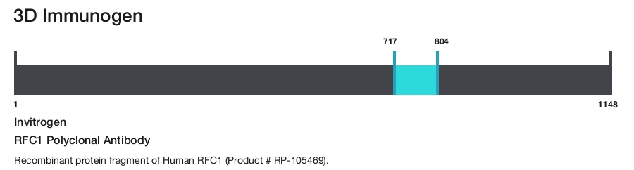 RFC1 Polyclonal Antibody