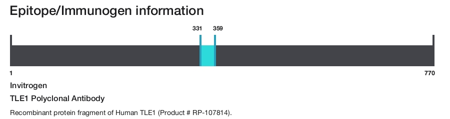 TLE1 Polyclonal Antibody