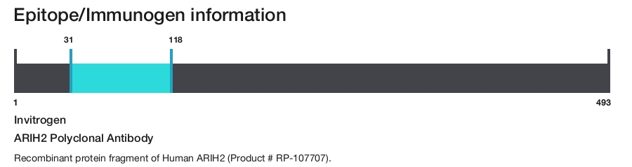 ARIH2 Polyclonal Antibody