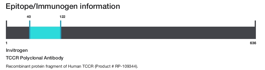 TCCR Polyclonal Antibody