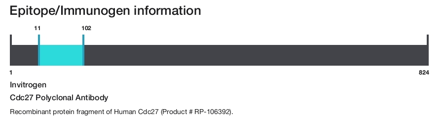 Cdc27 Polyclonal Antibody
