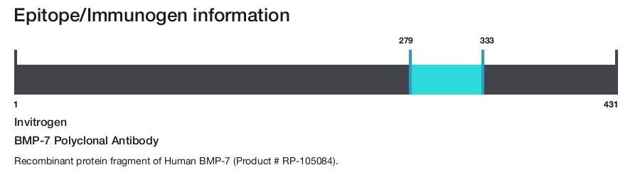 BMP-7 Polyclonal Antibody