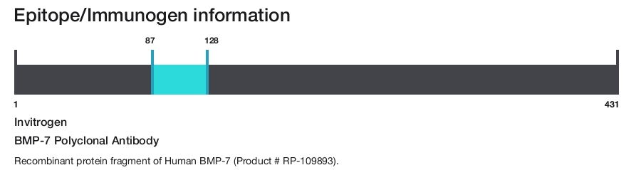 BMP-7 Polyclonal Antibody