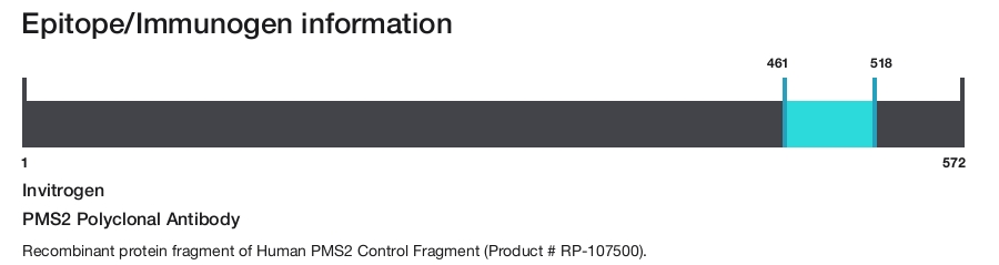 PMS2 Polyclonal Antibody