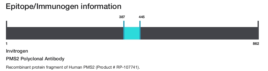 PMS2 Polyclonal Antibody