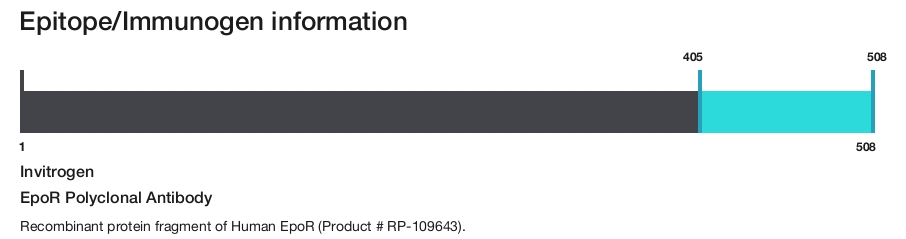 EpoR Polyclonal Antibody