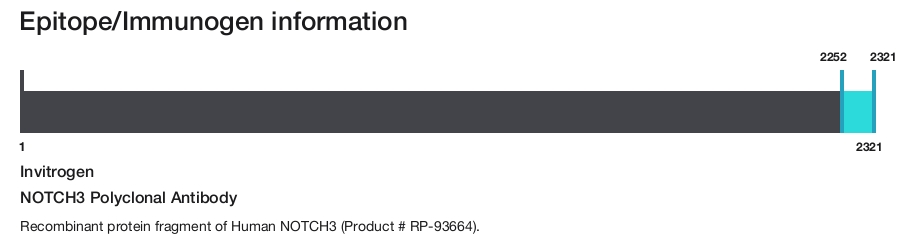 NOTCH3 Polyclonal Antibody