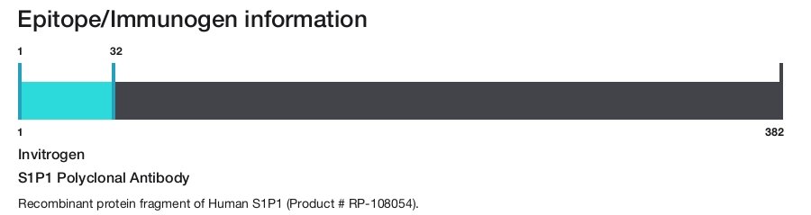 S1P1 Polyclonal Antibody