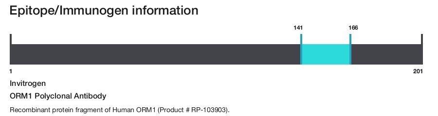 ORM1 Polyclonal Antibody