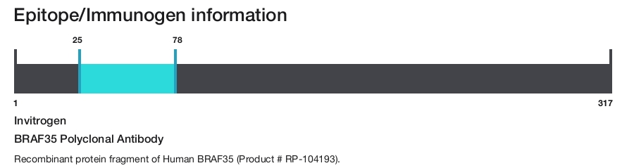 BRAF35 Polyclonal Antibody
