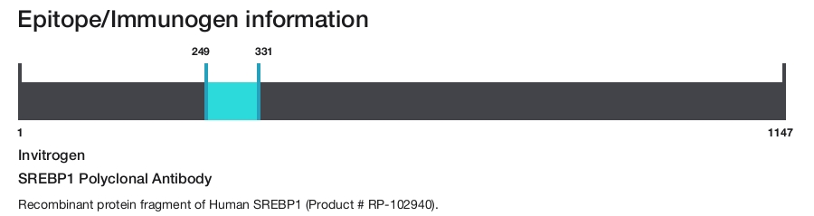 SREBP1 Polyclonal Antibody