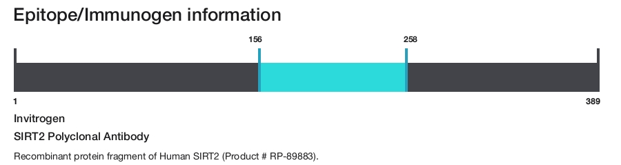 SIRT2 Polyclonal Antibody