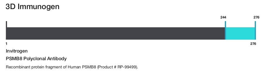 PSMB8 Polyclonal Antibody