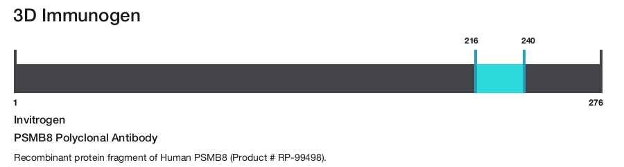 PSMB8 Polyclonal Antibody