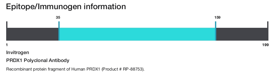 PRDX1 Polyclonal Antibody