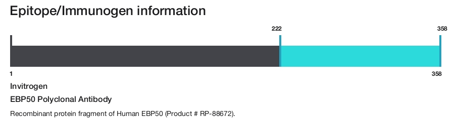 EBP50 Polyclonal Antibody